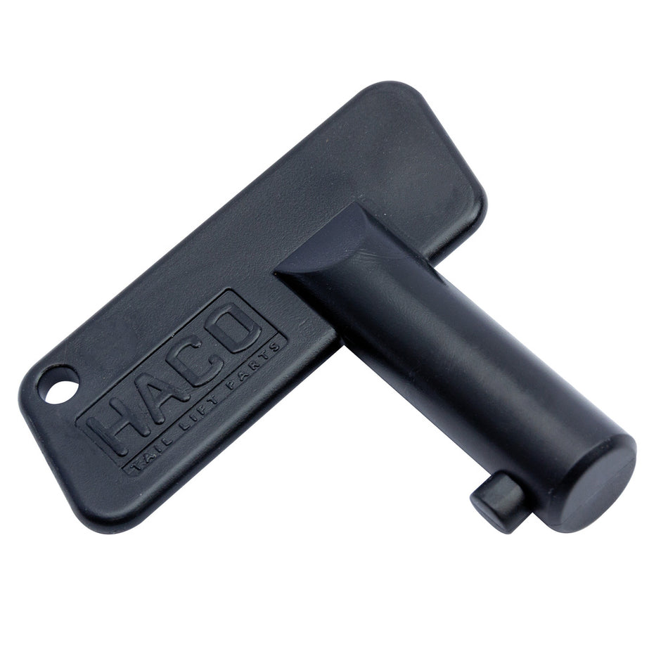 Key main switch 100A HACO for Anteo AN395277 and R & B RB3004A, ideal for commercial vehicle electrical systems. High-quality, fast UK delivery available.