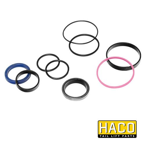 Sealkit HACO to Suit Bar Cargolift 101121348 , Haco Tail Lift Parts - Bar Cargolift, Nationwide Trailer Parts Ltd