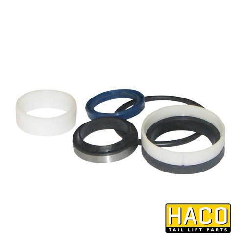 Ram Sealkit HACO for Dhollandia Tail Lift, model DSE050.30.B, featuring visible round gaskets, designed for efficient single-acting operation on commercial trailers.