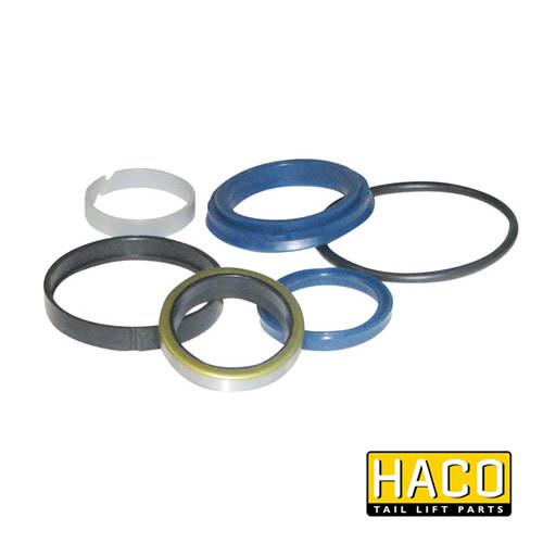 Ram Sealkit HACO to Suit DSE060.35.B , Haco Tail Lift Parts - HACO, Nationwide Trailer Parts Ltd