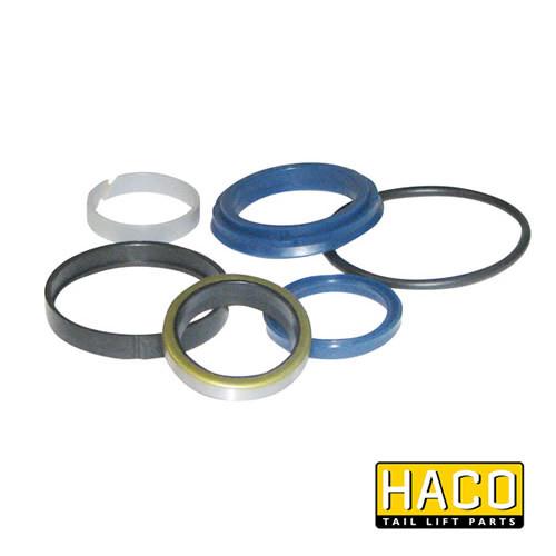 Ram Sealkit HACO for Dhollandia Tail Lift, includes various gaskets and metal rings. Suitable for Dhollandia Part DSE060.35.B, single acting, Ø35/60mm.