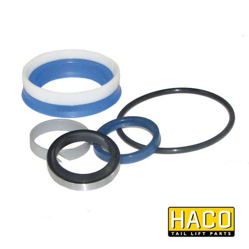 Ram Sealkit HACO for Dhollandia Tail Lift, model DSE070.35.B, visible as a collection of round blue and black gaskets, size Ø35/70mm, single acting.
