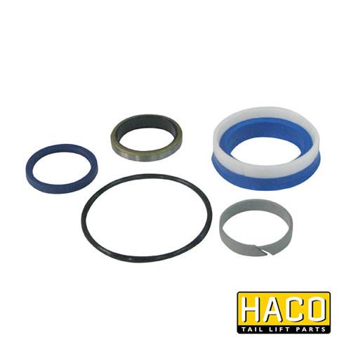Ram Sealkit HACO for Dhollandia Tail Lift, featuring various gasket sizes, designed to suit Dhollandia Part DSE070.40.B, ideal for tail lift maintenance.