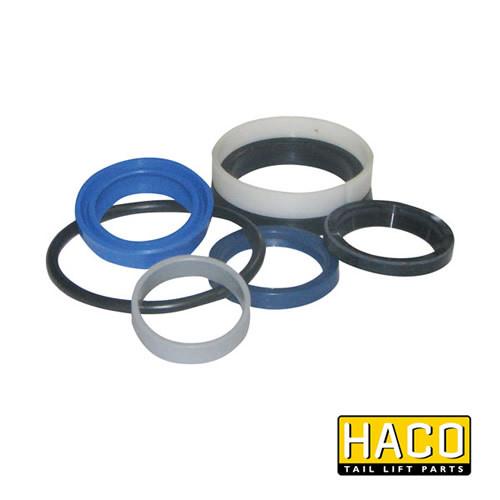 Ram Sealkit HACO for Dhollandia Tail Lift, featuring round gaskets. Designed to suit Dhollandia Part DSE050.30, ideal for large commercial trailers.
