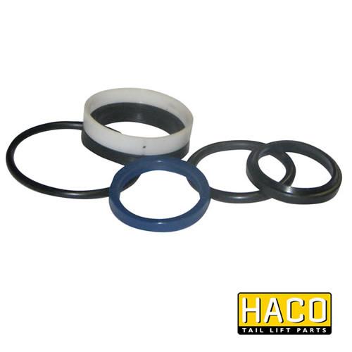 Ram Sealkit HACO for Dhollandia Tail Lift, suits part DSE050.35, visible in assorted gasket sizes, designed for optimal performance in commercial trailer applications.