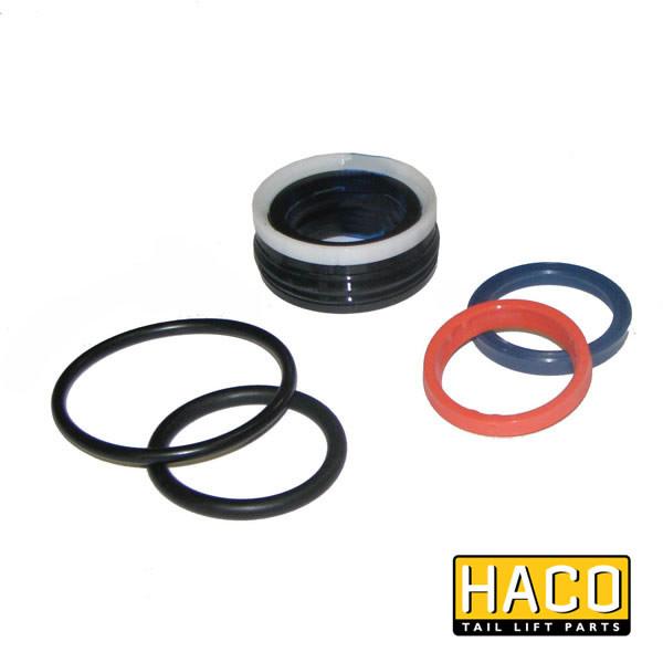 Sealkit Ø35/050mm DA HACO for Dhollandia Tail Lifts, featuring circular seal components, suitable as an alternative to Dhollandia part DSD050.35.