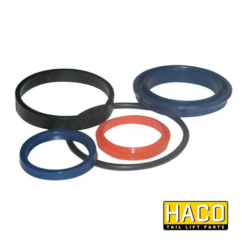 Ram Sealkit HACO to Suit DSE060.35 , Haco Tail Lift Parts - Dhollandia, Nationwide Trailer Parts Ltd