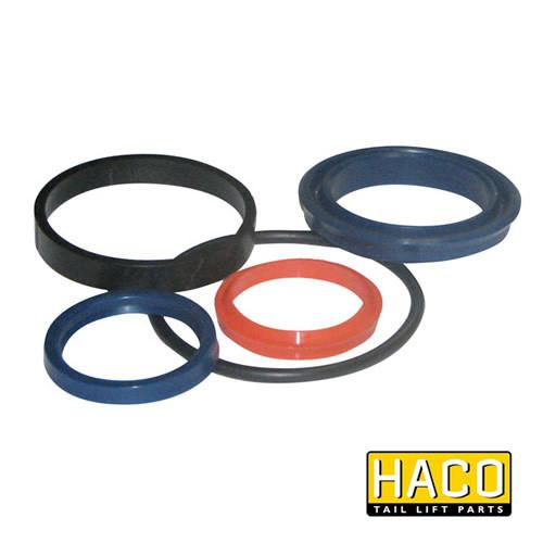 Ram Sealkit HACO for Dhollandia Tail Lift, Ø35/60mm, displayed on a white surface. Designed for single-acting systems, suitable for Dhollandia Part DSE060.35.
