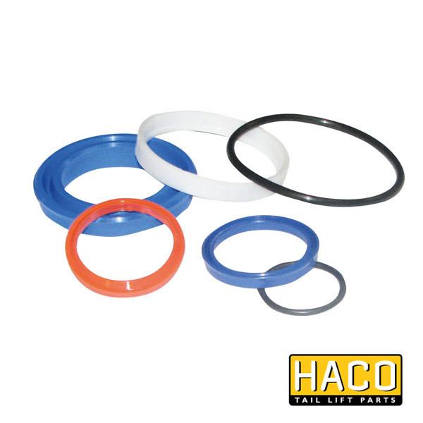 Sealkit Ø40/070mm SA HACO to suit DSE070.40 , Haco Tail Lift Parts - HACO, Nationwide Trailer Parts Ltd