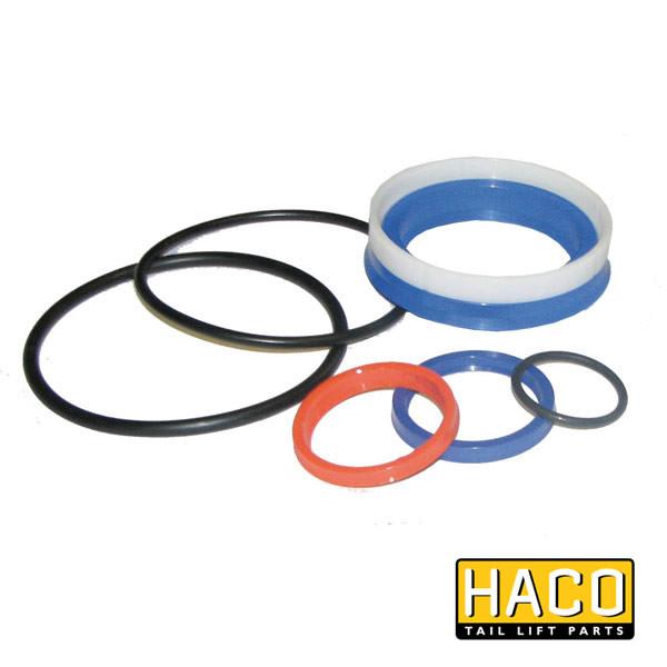 Sealkit Ø40/080mm SA HACO to suit DSE080.40 , Haco Tail Lift Parts - HACO, Nationwide Trailer Parts Ltd