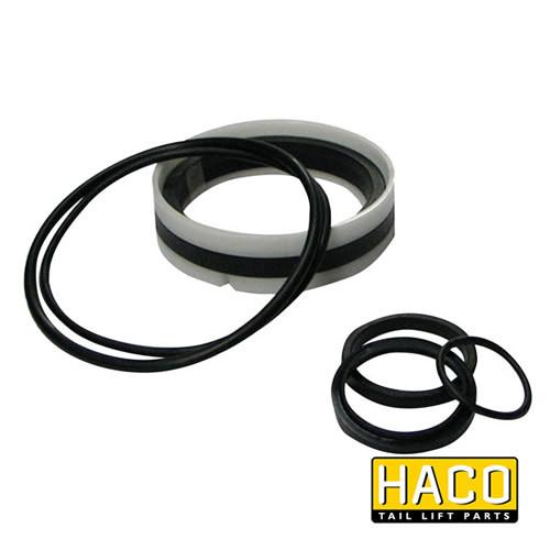 Ram Sealkit HACO for Dhollandia Tail Lift, featuring black rubber rings, designed to suit Dhollandia Part DSE100.40, Ø40/100mm, single acting.