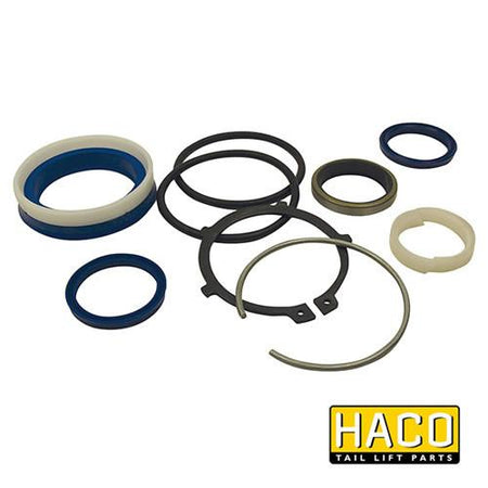 Sealkit Ø40/080mm SA HACO, various gasket sizes, compatible with Dhollandia Tail Lifts.