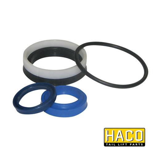Ram Sealkit HACO for Dhollandia Tail Lift, model DSE060.30, featuring round gaskets, suitable for Ø30/60mm, single acting, shown in a group.