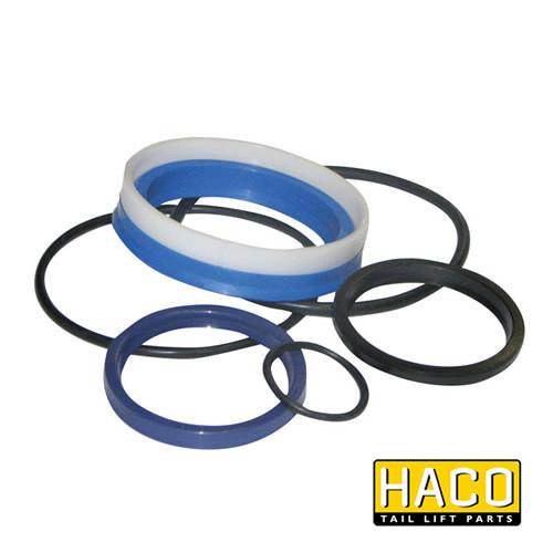 Ram Sealkit HACO for Dhollandia Tail Lift, size Ø55/90mm, visible with various gasket sizes and rubber seals, suitable for DSE090.55, single acting.
