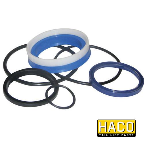 Ram Sealkit HACO for Dhollandia Tail Lift, featuring blue and black gaskets, designed for DSE080.55, Ø55/80mm size, ideal for single-acting applications.
