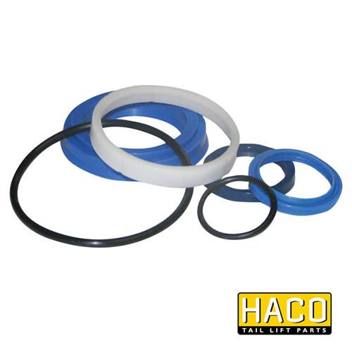 Sealkit Ø35/070mm SA HACO for Dhollandia Tail Lifts, featuring various rubber seals and gaskets, compatible with Dhollandia part DSE070.35.