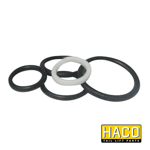 Sealkit HACO for Dhollandia Tail Lift, suited to DSV031, featuring black and white gaskets, designed for reliable maintenance of commercial trailer lifts.