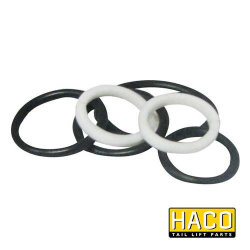 Sealkit HACO for Dhollandia Tail Lift, featuring black and white o-rings, suits model DSV070, ideal for commercial trailer maintenance.
