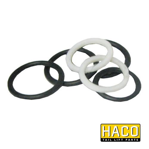 Sealkit HACO for Dhollandia Tail Lift, featuring a group of black and white rings, compatible with DSV040, type V041-V042, ideal for trailer maintenance.