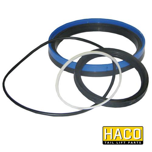 Sealkit GS HACO for Dhollandia Tail Lift, featuring black and white gaskets, suitable for DSGS140.80, size Ø80/140mm, single acting, ideal for commercial trailer maintenance.