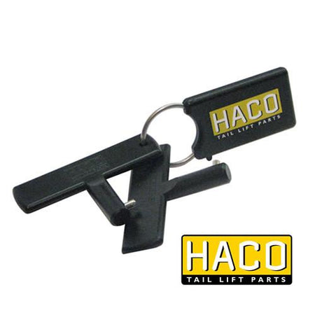 Set keys battery switch O.M. HACO to suit E0076 , Tail Lift Keys - HACO, Nationwide Trailer Parts Ltd